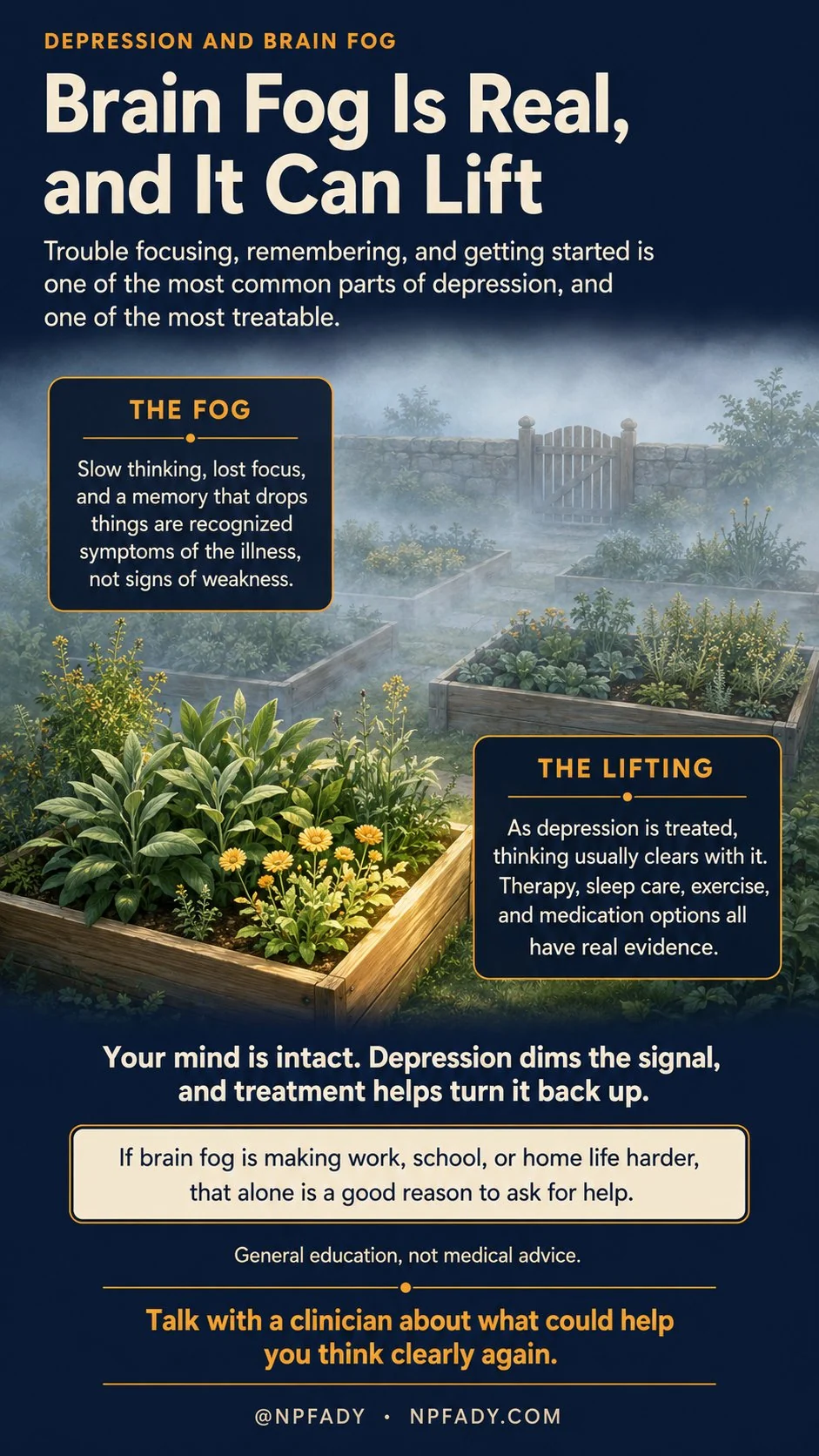 Infographic titled Depression and Brain Fog, Brain Fog Is Real, and It Can Lift, set in a small tended garden under morning fog that is thinning, with a low stone wall and a simple wooden gate softened by fog at the far end, and crisp raised beds of green plants with golden blooms in clear light at the near end. Text explains that trouble focusing, remembering, and getting started is one of the most common parts of depression, and one of the most treatable. One labeled panel, The Fog, reads that slow thinking, lost focus, and a memory that drops things are recognized symptoms of the illness, not signs of weakness. A second labeled panel, The Lifting, reads that as depression is treated, thinking usually clears with it, and that therapy, sleep care, exercise, and medication options all have real evidence. A central line reads that your mind is intact, depression dims the signal, and treatment helps turn it back up. A closing panel reads that if brain fog is making work, school, or home life harder, that alone is a good reason to ask for help. Footer reads general education, not medical advice, and talk with a clinician about what could help you think clearly again.