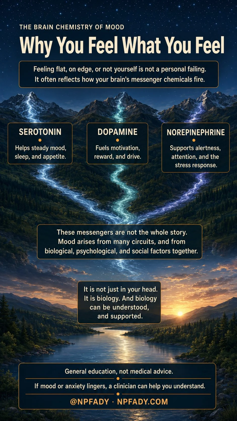 Infographic titled The Brain Chemistry of Mood, Why You Feel What You Feel, set in a twilight river valley. Three luminous streams descend from mountain peaks and braid into one calm river flowing toward a warm sunrise. Text explains that feeling flat, on edge, or not yourself is not a personal failing and often reflects how messenger chemicals in the brain fire. Three labeled streams describe the messengers: serotonin helps steady mood, sleep, and appetite; dopamine fuels motivation, reward, and drive; norepinephrine supports alertness, attention, and the stress response. A central panel reads that these messengers are not the whole story and that mood arises from many circuits and from biological, psychological, and social factors together. A closing panel reads that it is not just in your head, it is biology, and biology can be understood and supported. Footer reads general education, not medical advice, and if mood or anxiety lingers a clinician can help you understand.