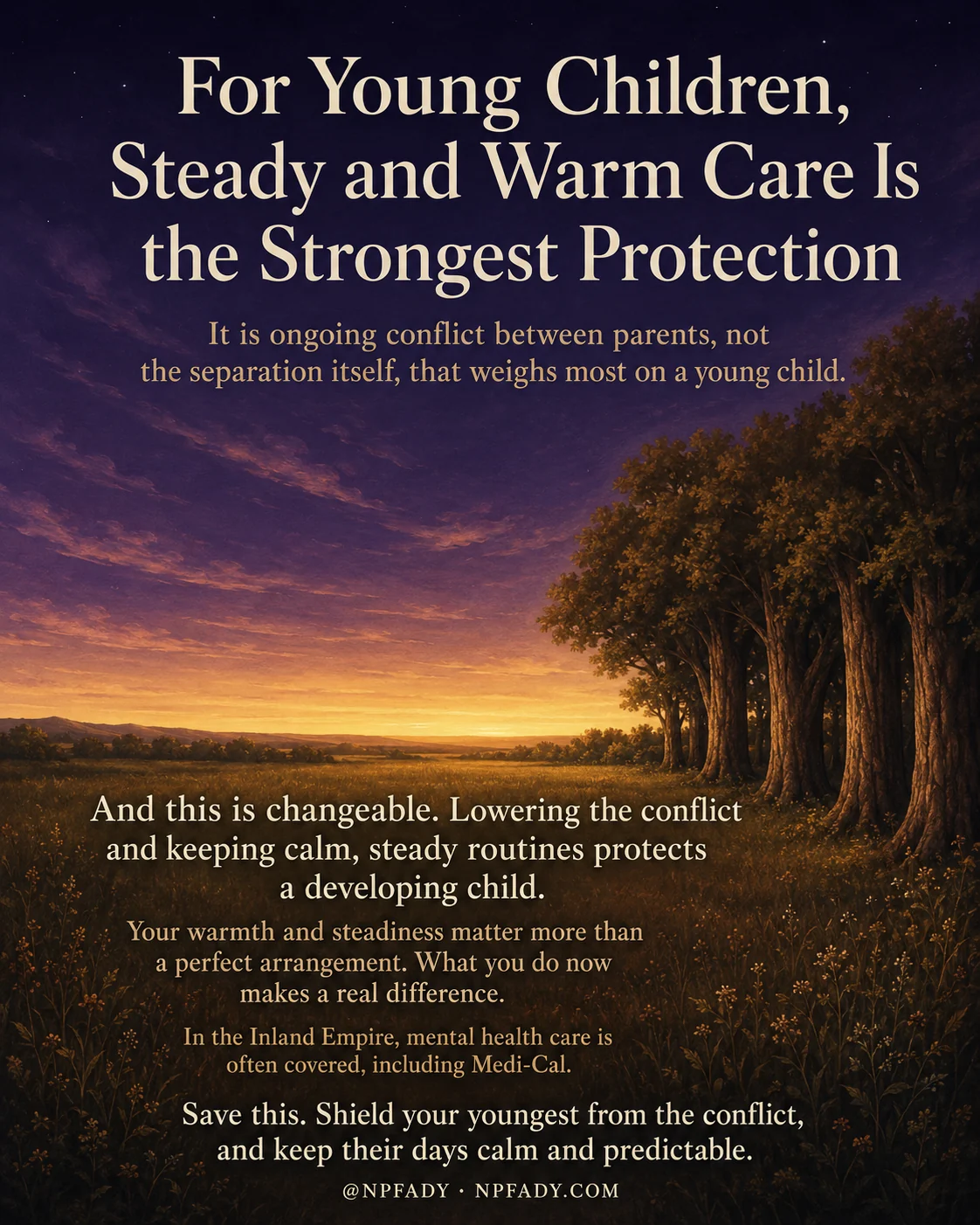 Infographic titled For Young Children, Steady and Warm Care Is the Strongest Protection, set against a wide twilight landscape where a deep blue starlit sky warms down into a golden sunset over a field of grass and wildflowers, with tall trees standing on the right. A subline reads It is ongoing conflict between parents, not the separation itself, that weighs most on a young child. Lower on the darker foreground, larger text reads And this is changeable. Lowering the conflict and keeping calm, steady routines protects a developing child. Smaller lines add Your warmth and steadiness matter more than a perfect arrangement. What you do now makes a real difference, then In the Inland Empire, mental health care is often covered, including Medi-Cal. The closing line reads Save this. Shield your youngest from the conflict, and keep their days calm and predictable. A footer reads at NPFADY and NPFADY.COM.