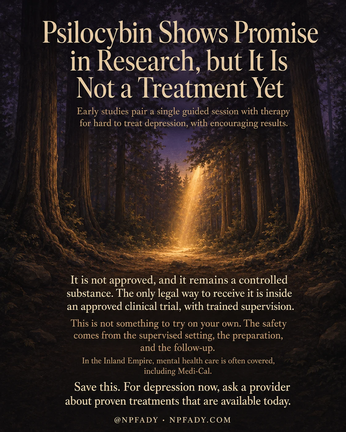 Infographic titled Psilocybin Shows Promise in Research, but It Is Not a Treatment Yet, set inside a tall forest at twilight where a single shaft of golden light breaks through the trees and lights a path on the forest floor, with cream and amber text over deep blue and brown tones. The opening lines read: Early studies pair a single guided session with therapy for hard to treat depression, with encouraging results. Lower text reads: It is not approved, and it remains a controlled substance. The only legal way to receive it is inside an approved clinical trial, with trained supervision. This is not something to try on your own. The safety comes from the supervised setting, the preparation, and the follow-up. In the Inland Empire, mental health care is often covered, including Medi-Cal. The closing line reads: Save this. For depression now, ask a provider about proven treatments that are available today. A footer reads at NPFADY, NPFADY.COM.